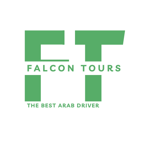 Falcon Tours logo